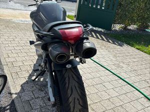 FZ6