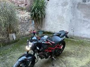 BENELLI BN 125 - 2022