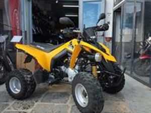 CAN AM DS 250