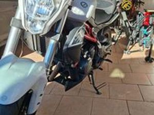 BENELLI BN 302 - 2016