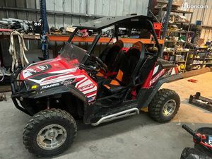 BUGGY RZR 800
