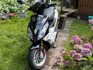 SACHS SPEEDJET 50 ROLLER - SPRINGT NICHT AN, MIT PAPIEREN