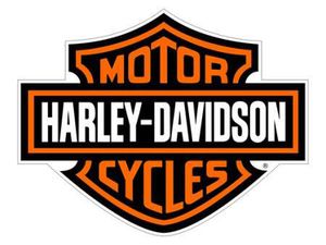 LOOKING FOR A PROJECT HARLEY PREFER FXR