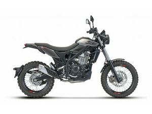 MOTO NEUVE: BETA ALP X