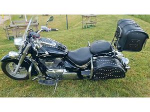 SUZUKI VS 800C INTRUDER