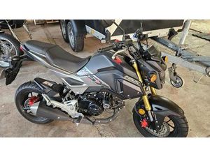 MOTORRAD HONDA MSX 125 AB 16 JAHRE