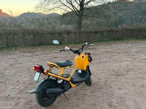 HONDA ZOOMER NPS50 RUCKUS IN GELB 4-TAKT KULTROLLER