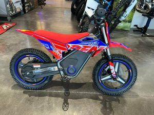 ?☃️KIDS ELECTRIC DIRTBIKE 500W? ?