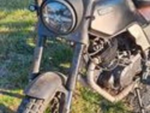 BRIXTON FELSBERG 250 - 2021