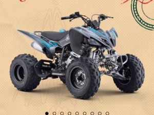 QUAD 250 PREDATOR
