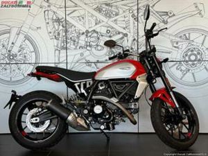 DUCATI SCRAMBLER ICON (BJ 2024) — MOTOREN | DUCATI — MARKTPLAATS
