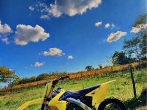 SUZUKI RMZ 250 2017