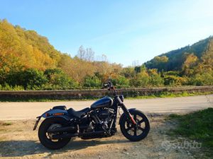 HARLEY DAVIDSON SOFTAIL STREET BOB 114