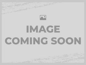 USED 2025 TRIUMPH TIGER SPORT 800