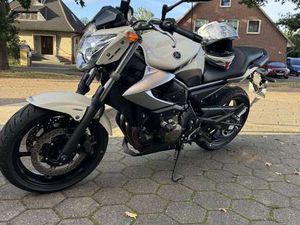 YAMAHA XJ 6