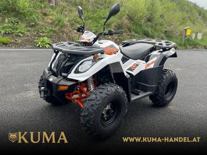 MOTO NEUVE: KAYO A 300