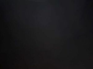 RECHERCHE 350 RAPTOR, HOMOLOGUÉ 2500