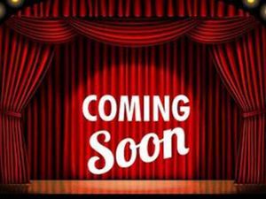 V7 III ROUGH LIMITED CARBONIO MOTO GUZZI CUSTOM