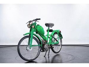 DUCATI CUCCIOLO - 1951