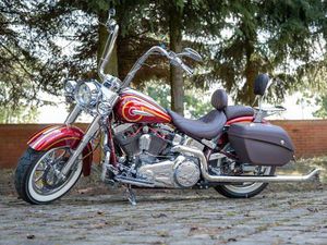 HARLEY-DAVIDSON SOFTAIL DELUXE CVO (FLSTNSE)
