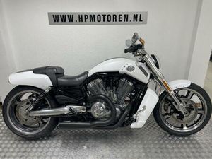 HARLEY-DAVIDSON VRSCF MUSCLE V-ROD 1250 ABS WHITE SPECIAL BOVAGG
