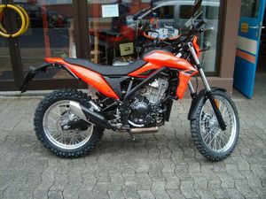 BETA ALP 4.0 MODELL 2025