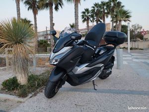 FORZA 300 MAGNIFIQUE OPTIONS