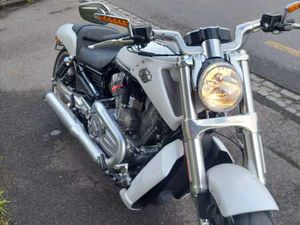 VRSCF V-ROD MUSCLE ABS