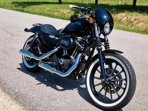 HARLEY DAVIDSON 883 IRON 1200 CCM