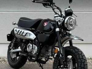 HONDA MONKEY 125 NEU NOCH KEINE ZULASSUNG
