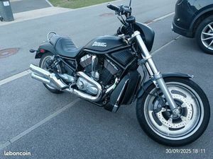 HARLEY V-ROD NIGHT ROD