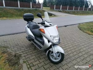HONDA FES 125 PANTHEON PRZYSUCHA