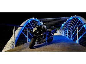 SUZUKI GSX 650 F TORUŃ