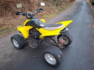 QUAD, SHINERAY 250 CCM³