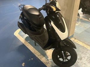 ORCAL KITE 50 ANNÉE 2019