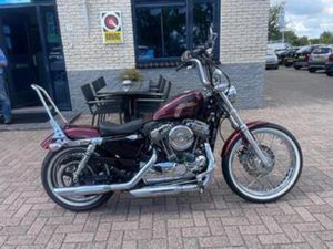 HARLEY DAVIDSON SPORTSTER XL 1200V SEVENTY-TWO- NL MOTOR — MOTOREN | HARLEY-DAVIDSON — MARKTPLAATS