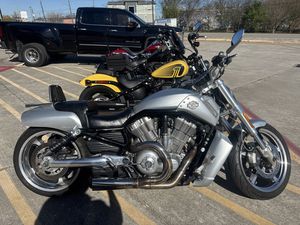 2009 V-ROD® MUSCLE®