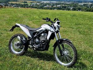 BETA ALP 4.0 , 2025ER