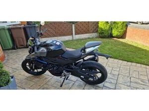 CF MOTO, NK, 2025, 449 (CC)