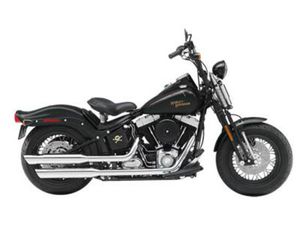 2009 SOFTAIL® CROSS BONES®