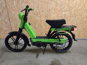 FANTIC ISSIMO 287 RS GRÜN MIT AUSWEIS