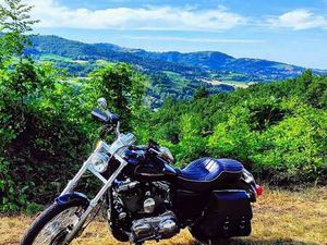 HARLEY-DAVIDSON 1200 CUSTOM NERO