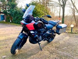 HARLET DAVIDSON PAN AMERICA STANDARD 2021