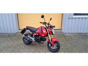 HONDA MSX 125 (BJ 2021) GROM — MOTOREN | HONDA — MARKTPLAATS