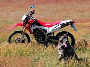 HONDA CRF 250 L , TOP ZUSTAND, ARROW ESD, 9000KM