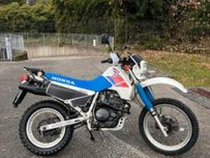 HONDA XL 600 RM