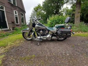 FLSTN SOFTAIL NOSTALGIA