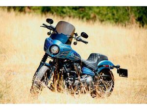 HARLEY-DAVIDSON SOFTAIL FXBB STREET BOB CLUBSTYLE 107