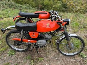 MOTO GUZZI DINGO SUPERSPORT