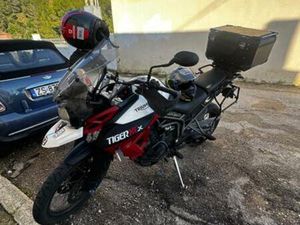 TRIUMPH - TIGER 800 XCX